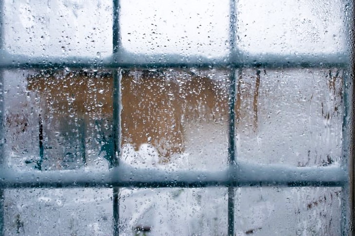 frost on the window