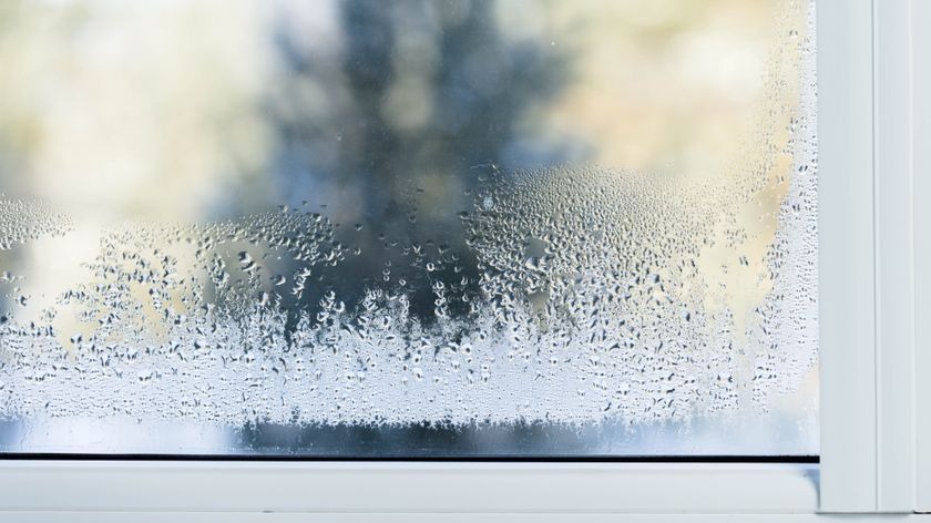 Condensation forming on interior window glass during cold weather