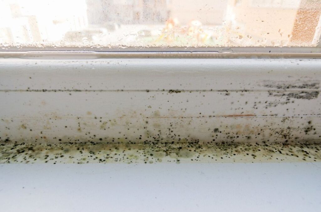 Mold growing on window sill due to excess condensation